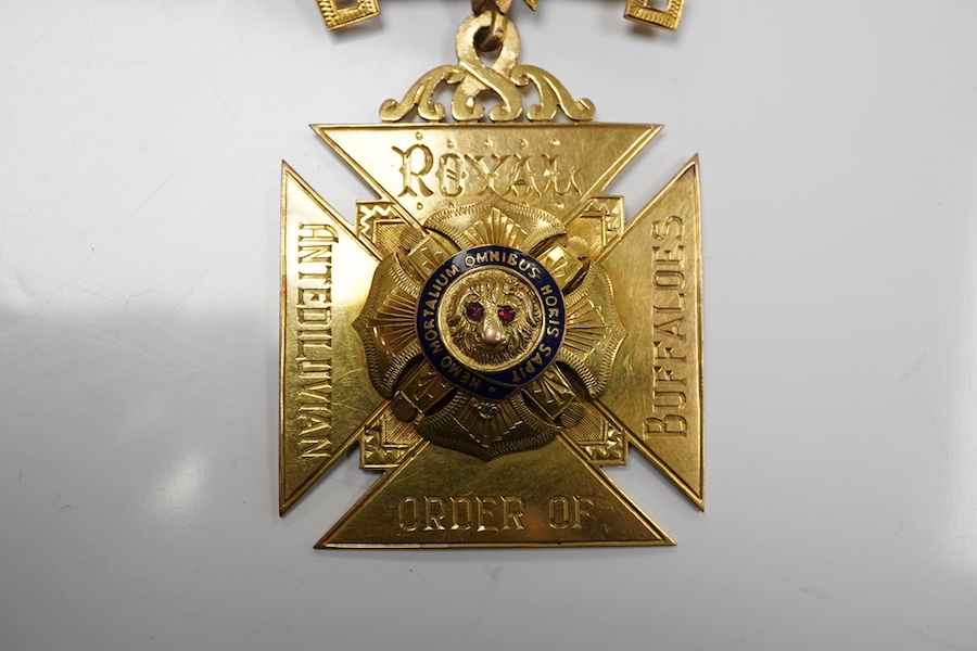 A 9ct gold Masonic 'Royal Order of Antedeluvian Buffaloes' medal, circa 1949, designed as a Maltese cross centring on a buffalo's face with garnet eyes, within a blue enamel garter border, inscribed 'Royal Order of Anted